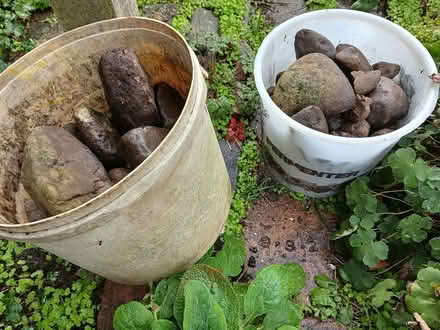 Photo of free a quantity of smooth stones (New Street, Ludlow SY8) #1