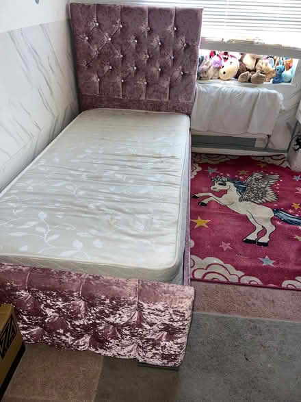 Photo of free Pink crush velvet large single bed with matress (Hertsmere WD6) #1