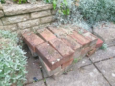 Photo of free Bricks (22) (Kenn Road BS21) #1