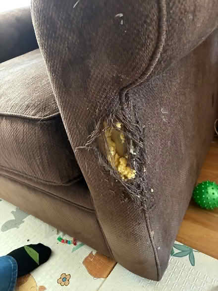 Photo of free Overstuffed chair (North Seattle- Broadview) #3