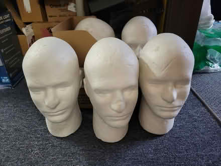 Photo of free styrofoam heads (near Horsetooth and College) #1