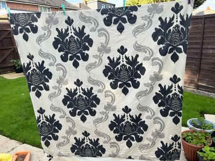 Photo of free Curtains - pair (Tyseley B11) #1