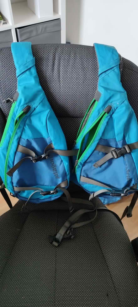 Photo of free Patagonia backpacks (Boverton CF61) #1