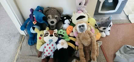 Photo of free Soft toys (Horndean PO8) #1