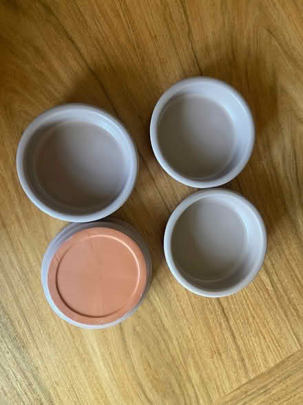 Photo of free Set of 4 tapas dishes (Seafield AB15) #1