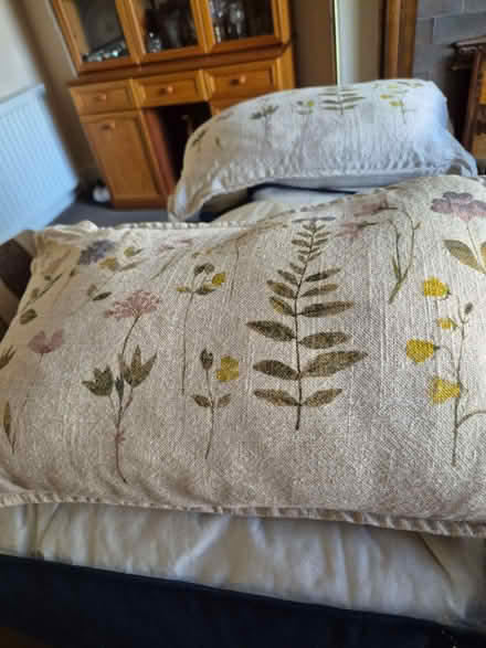 Photo of free Cushions (Gobowen SY11) #1