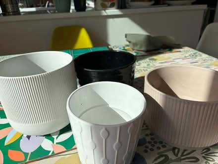 Photo of free Plant containers (Sydenham SE26) #2