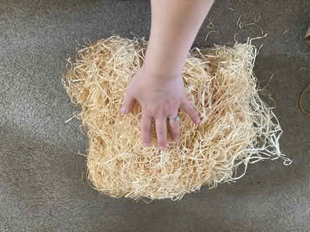 Photo of free Packaging materials (shredded) (Enfield EN2) #1