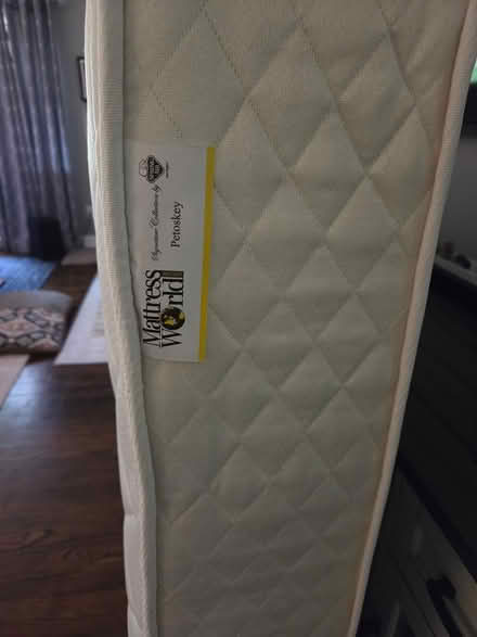 Photo of free Full size mattress and box spring (US 23 and North Territorial) #1