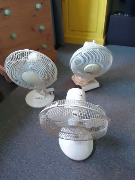 Photo of free Desk fans (St Helens TN34) #1