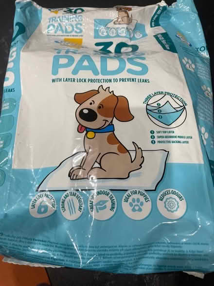 Photo of free Dog training pads (Old Stratford MK19) #1