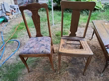 Photo of free wooden chairs - project (Maple Leaf) #1