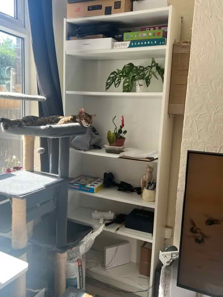 Photo of free Bookshelf (Rowditch DE22) #1