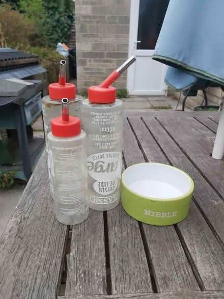 Photo of free Guinea pig rabbit bits (Stroud (central) GL5) #1