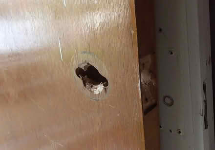 Photo of free 1960s internal door (St Albans AL4) #2