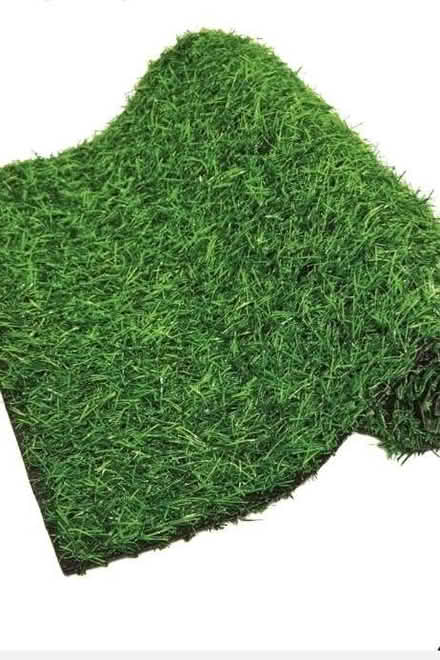 Photo of Artificial grass (Polegate BN26) #1