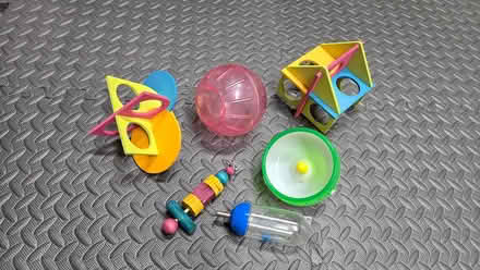 Photo of free Hamster Supplies (River Hill) #1