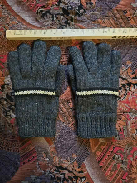 Photo of free Thick Gray Gloves - Adult (West 7th) #1