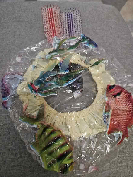 Photo of free New Shower cap and two detangling non slip brush (Deptford SE8) #2