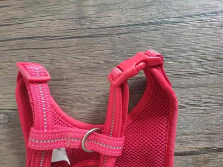Photo of free Two dog harnesses – red and blue (E10 6RH) #3