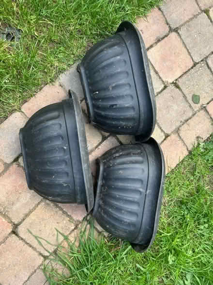 Photo of free 3 Plastic wall mounted plant pots (Stamford) #1