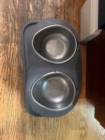 Photo of free Large dog bowl set (Roland park/Evergreen) #2