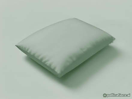 Photo of free King sized summer duvet (Gobowen SY11) #1