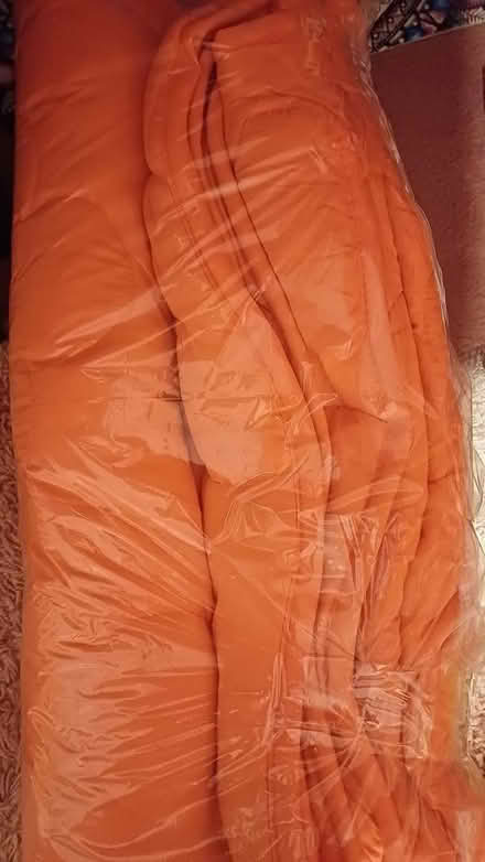 Photo of free Coverless duvet (Chineham RG24) #1