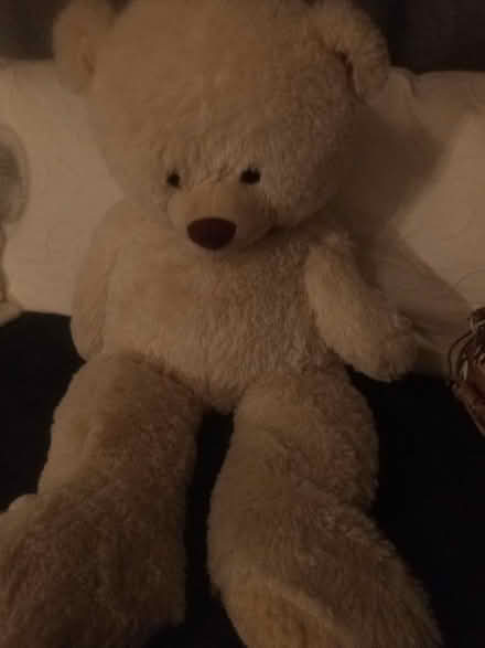 Photo of free Teddy bear (Alcester Lanes End B14) #1