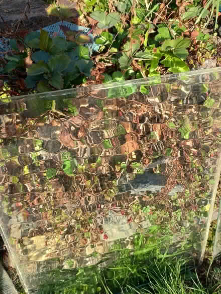 Photo of free 4 pieces Patterned Door Glass (Whitwick LE67) #3