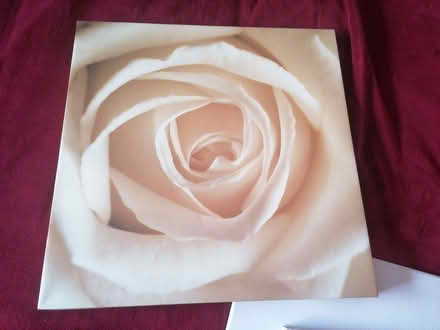 Photo of free Three canvases (Stirchley B30) #2