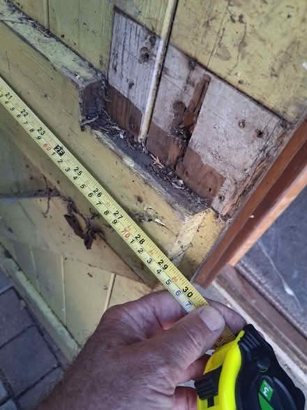 Photo of free Old Shed Door (Brickhill MK41) #3