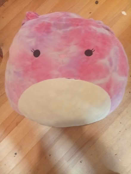 Photo of free Squishmallow soft toy/cushion (Welling DA7) #1