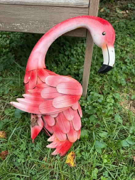 Photo of free Flamingo yard decor (Roland park/Evergreen) #1