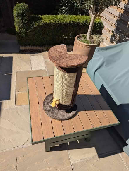 Photo of free Corner cat tree scratching post (Smalley DE7) #1