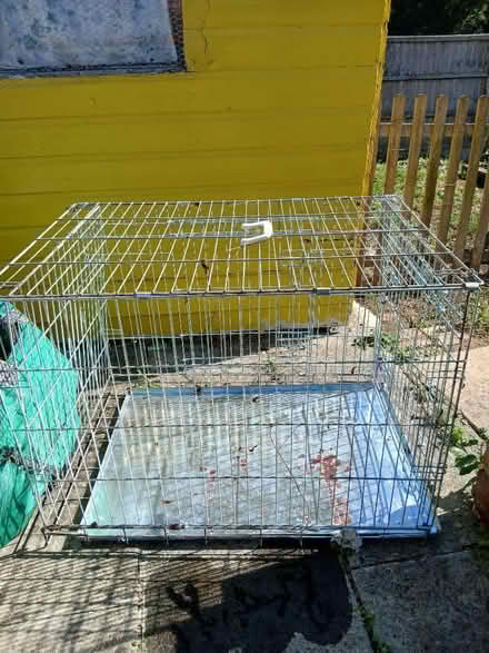 Photo of free Cat cage (Cherry Orchard SY2) #1