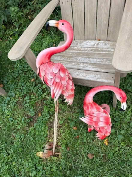 Photo of free Flamingo yard decor (Roland park/Evergreen) #3