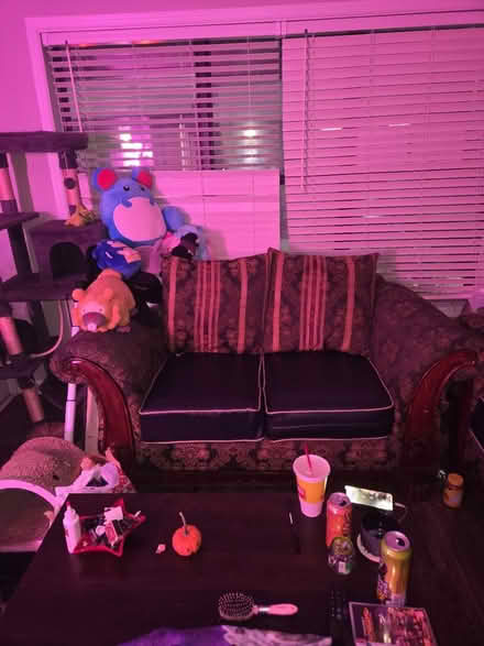 Photo of free Loveseat sofa couch (Peachtree Corners) #1