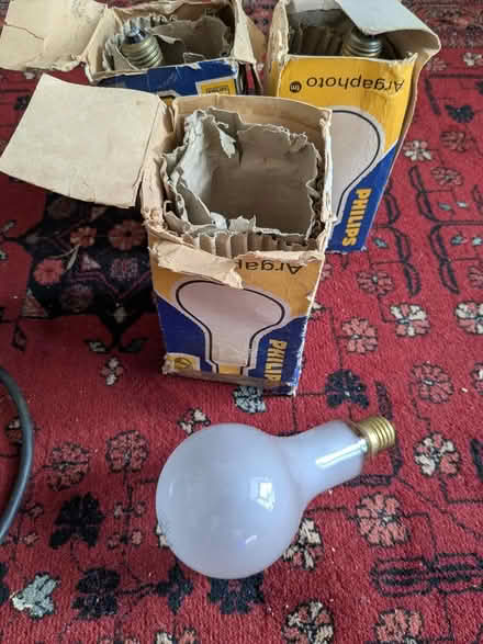 Photo of free Light stand (Clapton E5) #3