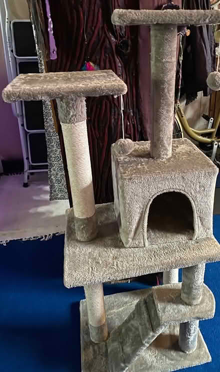 Photo of free Cat scratching post (Lancaster, Skerton LA1) #1