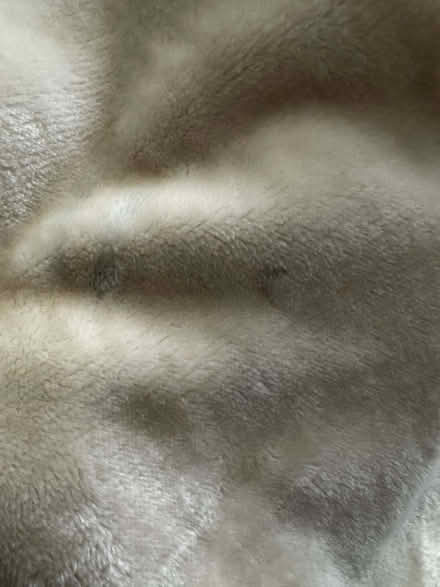 Photo of free Beige very soft polyester throw, 190x220cm (Chelsea Harbour SW6) #3