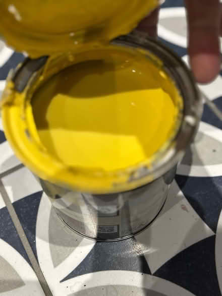 Photo of free Various paints (Windsor SL4) #2