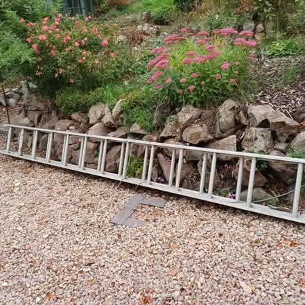 Photo of free Long Extendable Laddder (West Malvern CP WR14) #1