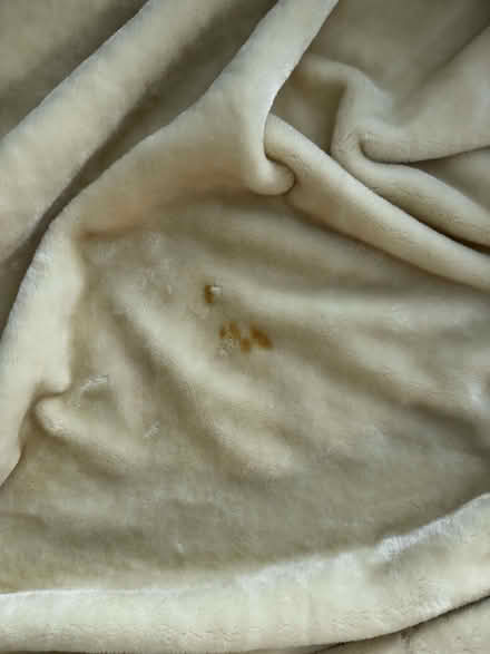 Photo of free Beige very soft polyester throw, 190x220cm (Chelsea Harbour SW6) #4