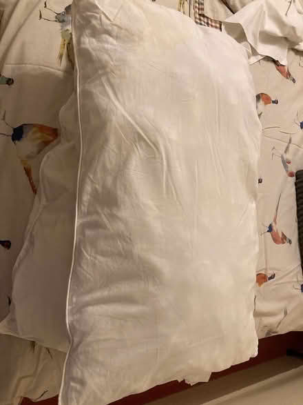 Photo of free Pillow (Bookham KT23) #1
