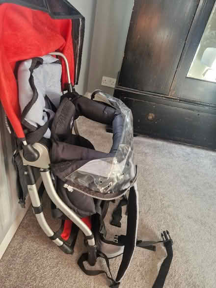 Photo of free Baby/child carrier (Brenchley TN12) #2