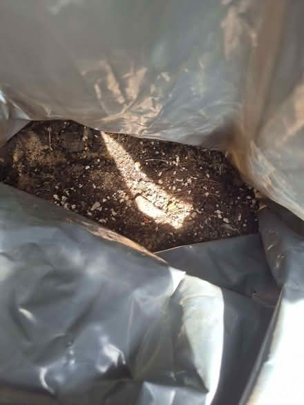 Photo of free Bags of aggregate and/or soil - Lindley (Oakes HD3) #3