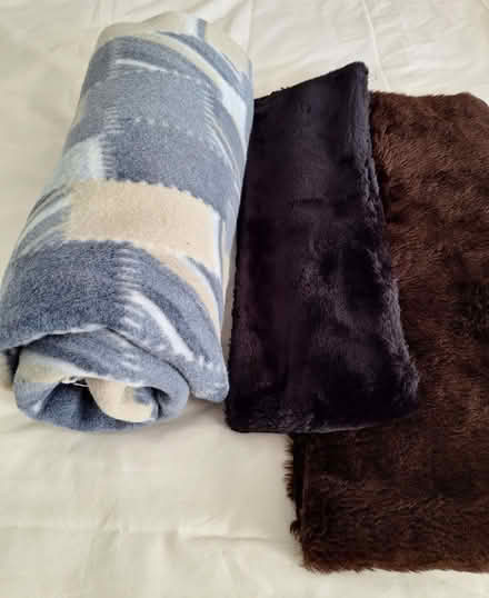Photo of free Crafts and Fabric (Brandon Village DH7) #4