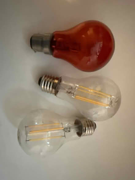 Photo of free Light bulbs (Great Maplestead CO9) #1