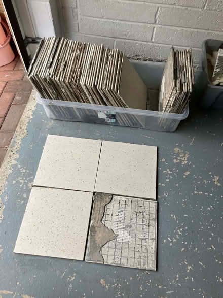Photo of free Hardcore (West Marina TN38) #1